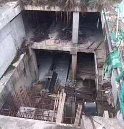 粵港澳大灣區西線新動脈 虎門、長安工程建設迎來實質性利好，實地勘察全面展開