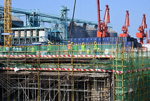 青島國(guó)際郵輪港區(qū)搶抓施工黃金期，建設(shè)按下“快進(jìn)鍵”，工程勘察穩(wěn)步推進(jìn)