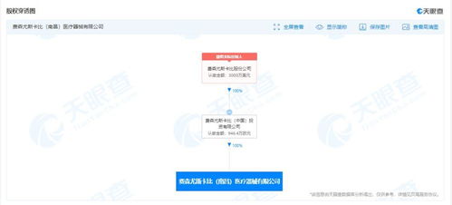 信息咨詢服務(wù) 連接知識與決策的橋梁